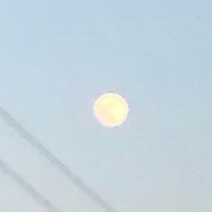 Meet your Posher, Sierra